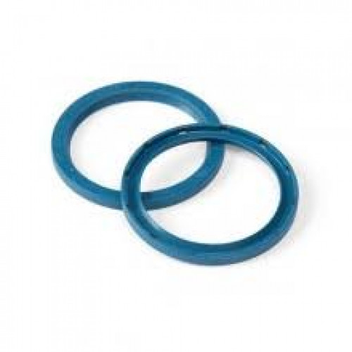 G40X50X4 INA ANELLO TENUTA
